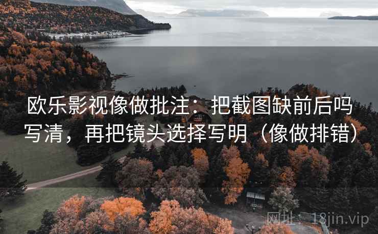 欧乐影视像做批注：把截图缺前后吗写清，再把镜头选择写明（像做排错）